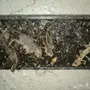 رش مبيدات عماله فلبينيه مع الضمان