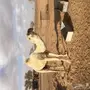 للبيع او للبدل جمل اشقح 