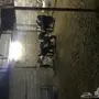 تيوس لبانية وتيوس منادي من - 4 اشهر  