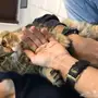 شيرازي تايقر