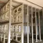 فقاسة المحمديه 1232