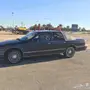 شفر كابرس موديل 1994م