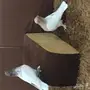 حمام زينه للبيع بيعه سريعه وسماح