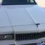 كابرس 1989 ابيض