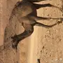 متلي للبيع 