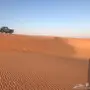 مزاد سريع