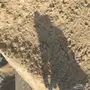توريد بطحاء الرياض الدرجة الأولى 