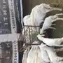 ضان للبيع