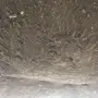 توريد التربة الزراعية