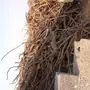 حطب للبيع بالجملة
