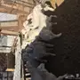 ذبائح حرية مغلفة شحم 