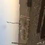 رخال لبيع 