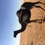 خلفه مجهم هديه وطيبه 