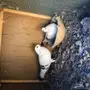 زوج عمري كحولي