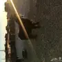 الدوادمي عنز هولنديه  ثنيه تحتها تيس وجفره