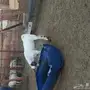 تيس بيشي