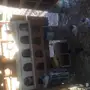 حمام طيار كراس