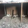 دجاج بلدي بياض على ضمانتي 