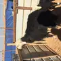 نجد مواليد 
