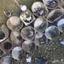 حمام 4 ازواج وفردتين