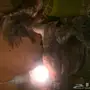 صيصان بلدي