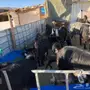 معزا للبيع 