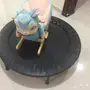 نطيطه وكرسي هزاز ومشايه اطفال 