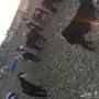 للبيع معزاء عوارض