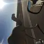 ناقه للبيع