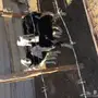 6 رخال نجد للبيع 