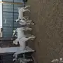 جفار بيشيه 