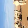 ابل ا بكار 
