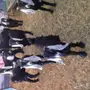تيوس مندي