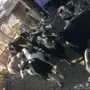معزا معها فحلين للبيع