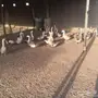 وَز عراقي