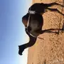 خلفه مجهم هديه ونظره وجرمها طيب 