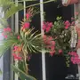 بيت شعر vpc.  للبيع الحاله ممتازه 