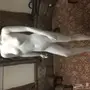 مانيكان عرض فستان