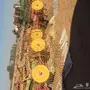 لمامة برسيم للبيع