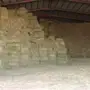برسيم مستودع بالقصيم 14