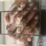 Nokia 6 للبيع اخو الجديد