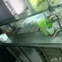 ثلاجة عرض عصائر للبيع 