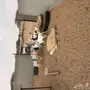 تيوس بيشيات 