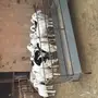 ذبايح