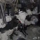 كرونات  و دفرنسات  جمس يوكن تاتو سلفرادو سيرا