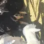للبيع 4 ضأن نجد منها 3 دفيع نظيفه وطيبه 
