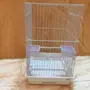 قفص ببغاء