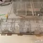 كناري للبيع مع القفص