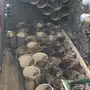 للبيع سطول بويه للحمام