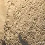 توريد بطحاء الرياض الدرجة الأولى
